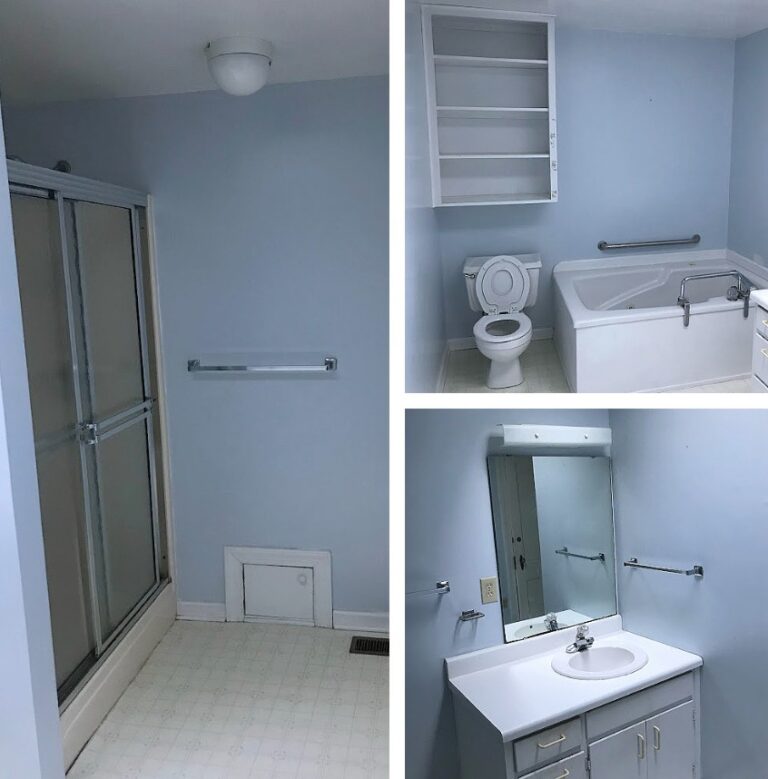 bathroom remodel greenville blue and white